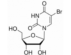 植物激素及核酸類