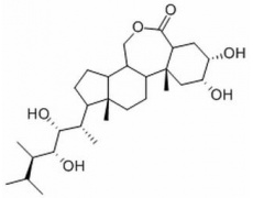 植物激素及核酸類(lèi)