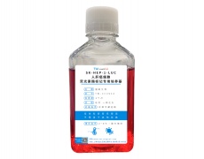 LUC細胞專用培養(yǎng)基