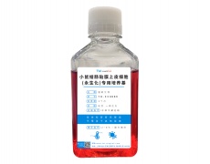 永生化細(xì)胞專(zhuān)用培養(yǎng)基
