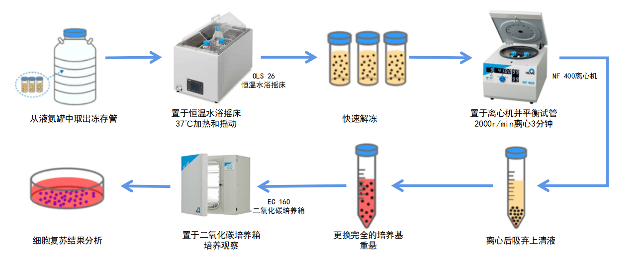 細胞復(fù)蘇步驟